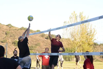 DSC_5242 (Large).JPG